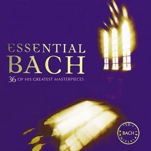 Suite No. 2 in B Minor, BWV. 1067 - VII. Badinerie (B小调第2号组曲，作品1067 - 第7首：诙谐曲 - 第七乐章 嬉戏曲)
