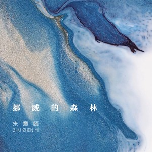 挪威的森林 (DJ豪大大版)