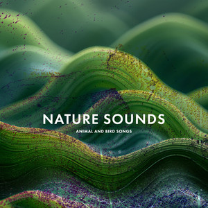 Nature Sounds