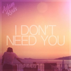 I Don't Need You