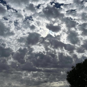 On My Mind (feat. artist) (Explicit)