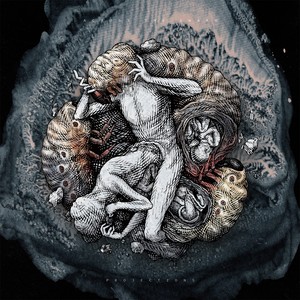 Waiting For The Hyenas