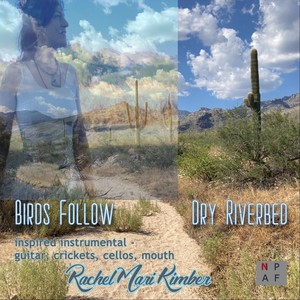 Birds Follow Dry Riverbed