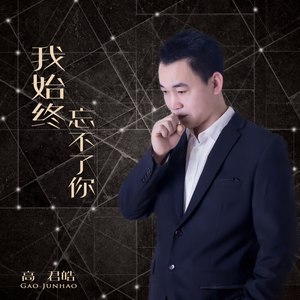 我始终忘不了你