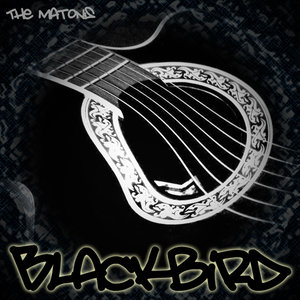 Blackbird