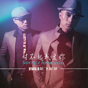 龙飞龙泽1983组合 - 对不起我爱你 (DJ卡点版伴奏)