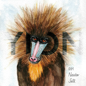 Salt (Pynewood Remix)