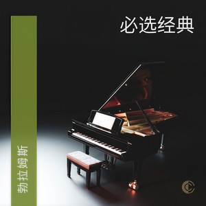 Brahms: Variations on a Theme by Haydn, Op. 56a - Var. 4, Andante con moto