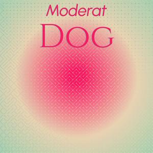 Moderat Dog