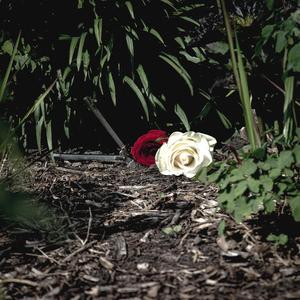 Le bien et le mal (Explicit)