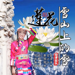 雪山上的雪莲花