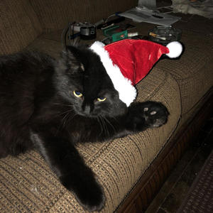 hang me on a christmas tree