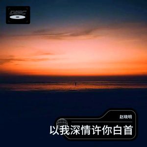 以我深情 许你白首
