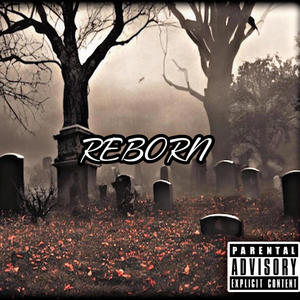 Reborn (Explicit)