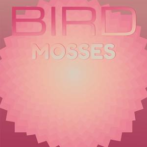 Bird Mosses