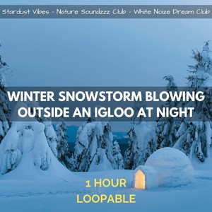 Winter Snowstorm Blowing Outside an Igloo at Night: One Hour (Loopable)