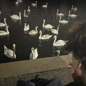 part of the art (feat. fineart) (Explicit)