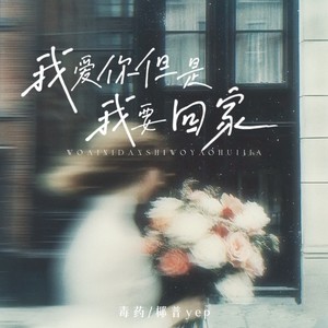 我爱你但我要回家