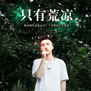 只有荒凉