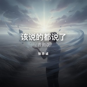 该说的都说了 (告别版)