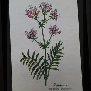 workday (feat. R o n i a)