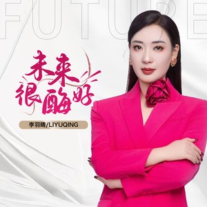 未来很酶好 (Dj沈念版伴奏)