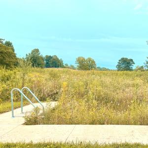 Lilly(feat. Rachel Grimes) (Explicit)