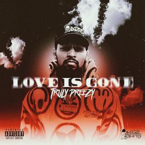 Love Is Gone (Explicit)