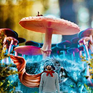 MARIUS AND THE MUSHROOM FACTORY (Explicit)