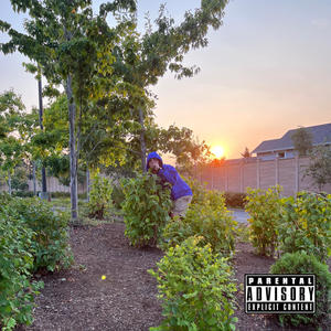 Stay High (Explicit)