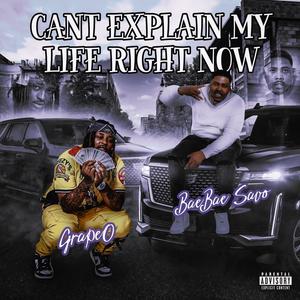 Can't Explain My life Right Now (Explicit)