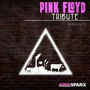 Pink Floyd Tribute Volume 3