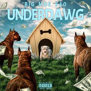 UNDERDAWG (Explicit)