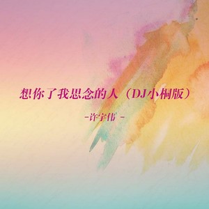 想你了我思念的人 (DJ小桐版)