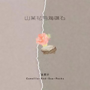 山茶花与海礁石