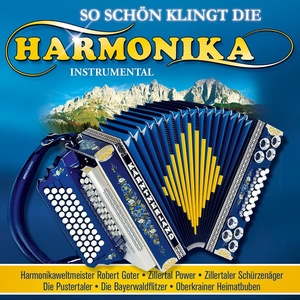 So schön klingt die Harmonika