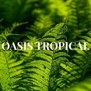 OASIS TROPICAL