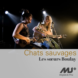 Chats sauvages (exclusivité Espace Musique) - Single