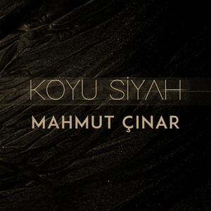 Koyu Siyah