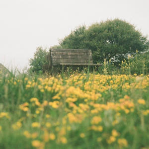 sound/tryagain (Explicit)