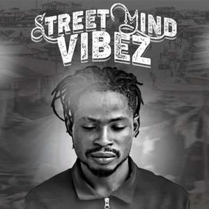 STREET MIND VIBEZ (S.M.V) [Explicit]