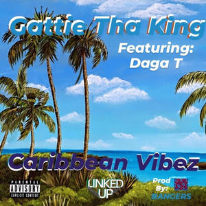 Caribbean Vibez (feat. Daga T) [Explicit]