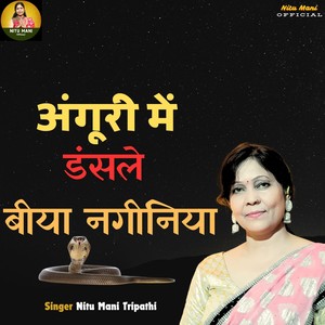 Angoori Mein Dansle Biya Naginiya