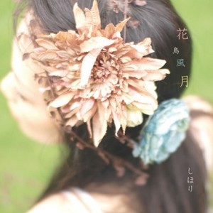 花鳥風月 Qq音乐 千万正版音乐海量无损曲库新歌热歌天天畅听的高品质音乐平台 花鳥風月 Qq音乐 千万正版音乐海量无损曲库新歌热歌天天畅听的高品质音乐平台