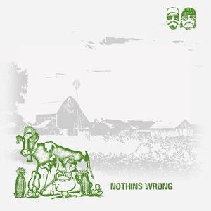 Nothin's Wrong (Explicit)