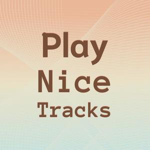 Play Nice Tracks