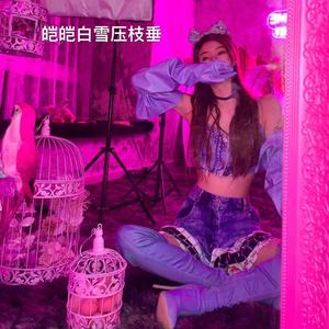 皑皑白雪压枝垂
