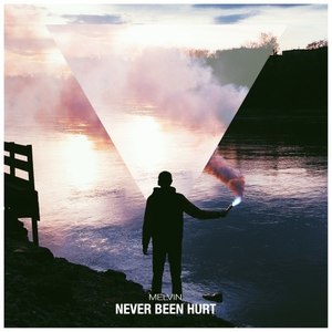 Never Been Hurt (Dopedrop Remix)