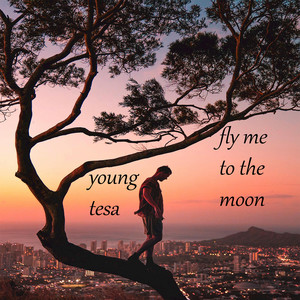 Fly Me to the Moon