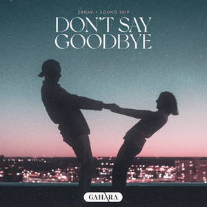 Don't Say Goodbye